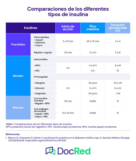 Guía Práctica De Insulinoterapia Docred