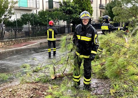 Maltempo Nel Ternano Albero Si Abbatte Sulla Carreggiata