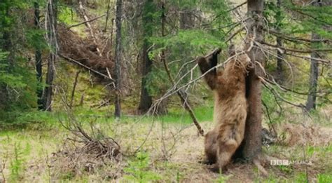 Jock Itch Gifs Get The Best On Giphy My XXX Hot Girl