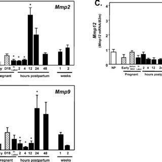 Mmp And Mmp Enzyme Activity In Vaginal Tissues From Nonpregnant And