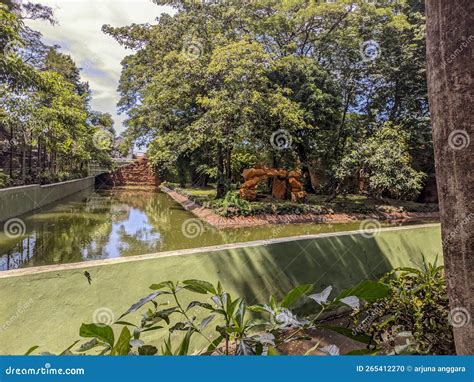 A Lion Enclosure at the Zoo Stock Photo - Image of child, character ...