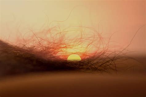 No sex Biển và Em Page 2 VOZ