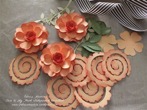Ctmh Cricut Cartridges For Creative Diy Crafts
