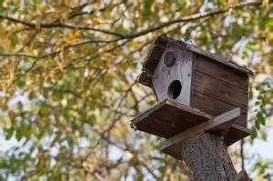 Abrigos para pequenos animais pássaros e insetos no jardim