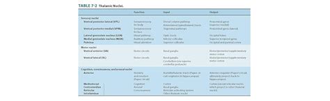 Lange Clinical Neurology And Neuroanatomy A Localization Based