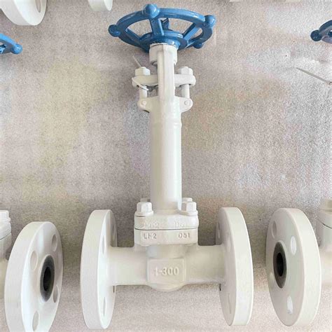 Astm A Lf Extended Stem Globe Valve Inch Lb Api Rf