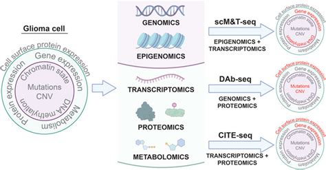 Frontiers Applying Single Cell Multi Omic Analyses To Understand