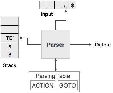 Syntax Analysis Top Down Parsing