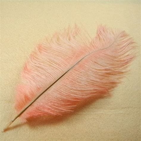 Peach Ostrich Feather 6 8 Inches For Hats Victorian Fascinators