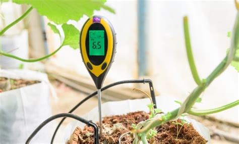 The Best PH Meter For Hydroponics Buyers Guide