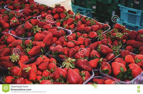 Strawberry Market Stock Photo Image Of Folk Festa Strawberries