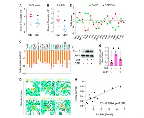 Cep Interferes With The Glycolysis Pathway To Confer Anti Calcification