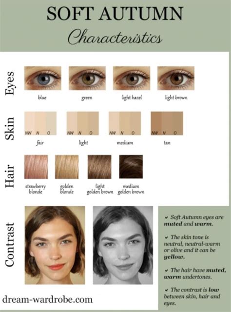 Soft Autumn Makeup Soft Autumn Color Palette Skin Color Palette