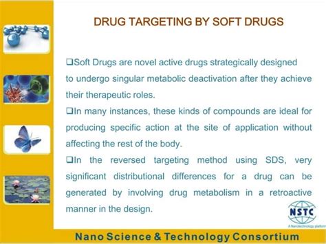 Nano Drug Delivery