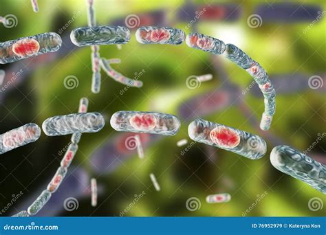 Bacteria Bacillus Anthracis Stock Illustration Illustration Of Life Science 76952979