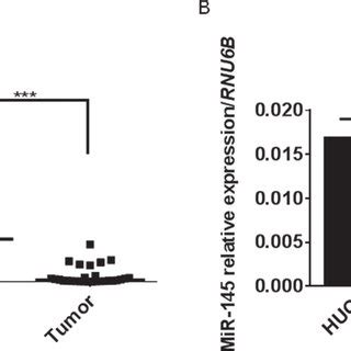 Knockdown Of KLF4 Affected PTBP1 PKMs Cascade In BC Cells Effects Of