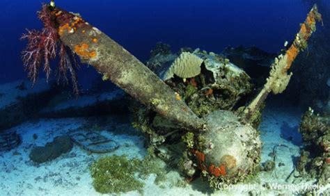 Visit Truk Lagoon With The Siren Fleets Newest Liveaboard Bluewater