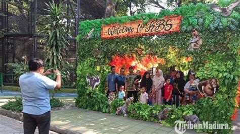 Kebun Binatang Surabaya KBS Ditutup 2 Pekan Petugas Tambah Fasilitas