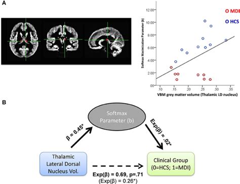 A Left Panel Thalamic Lateral Dorsal Nucleus Ld Roi In Axial