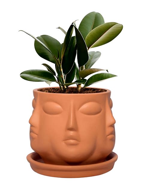 Buy Lasaki Vivan Bronze Textured Ceramic Planter With Holder Planters For Unisex 27225158 Myntra