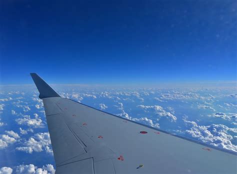 flying  stock photo public domain pictures