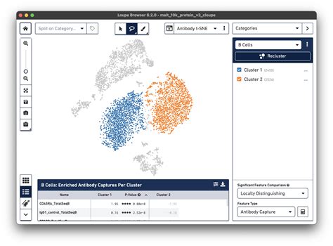 Using Loupe Browser With Feature Barcode Data Software Single Cell