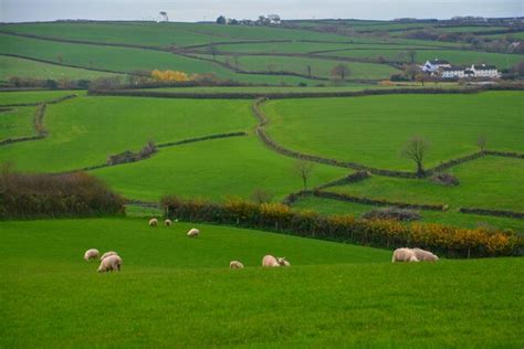 Woodtown Grassy Field Lewis Clarke Cc By Sa Geograph Britain