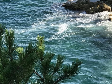 Усадьба "Красивая" added a new photo... - Усадьба "Красивая"