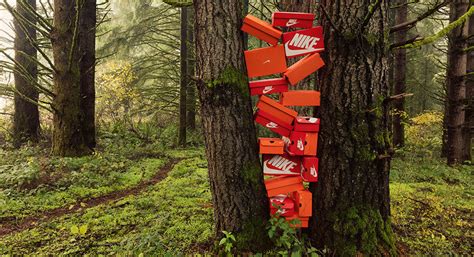 How Sustainable is Nike? | Read our Guide | The Sports Edit