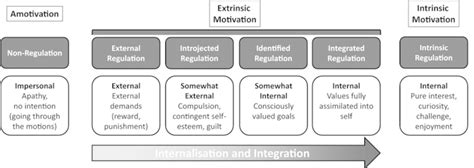 Self Determination Theory Uk