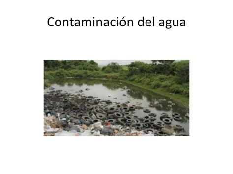 Contaminacion Ambiental Ppt Descarga Gratuita