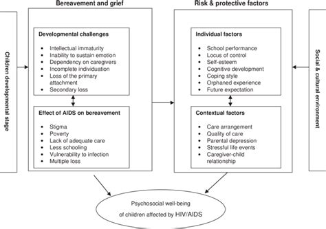 Developmental Psychopathology Framework Of Psychosocial Needs Of