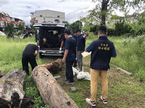 圓規剛走山老鼠就來 撿價值近10萬元漂流木遭逮 生活 自由時報電子報