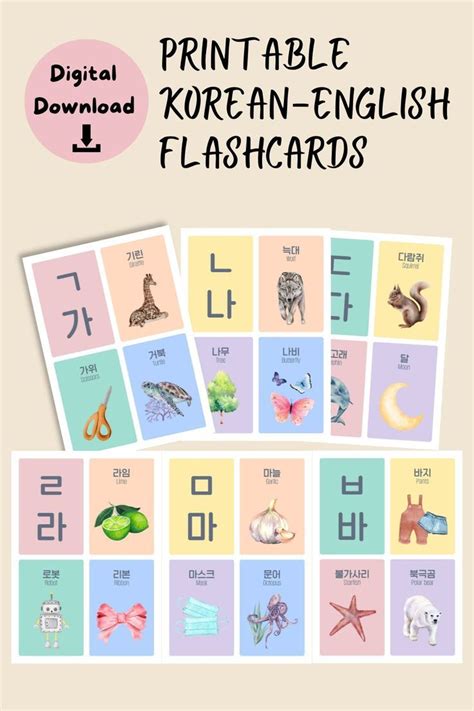 Korean English Flashcard Korean Vocabulary Flashcards Hangul Hangeul