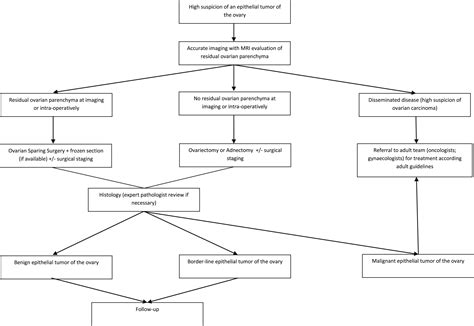 Epithelial Tumors of the Ovary in Children and Teenagers: A Prospective ...