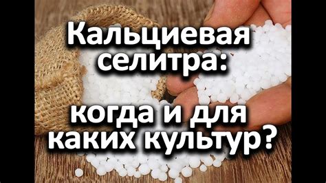 Кальциевая селитра: когда и для каких культур? - YouTube