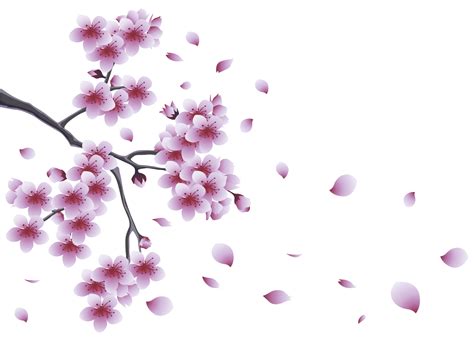 Spring Png Images Transparent Free Download