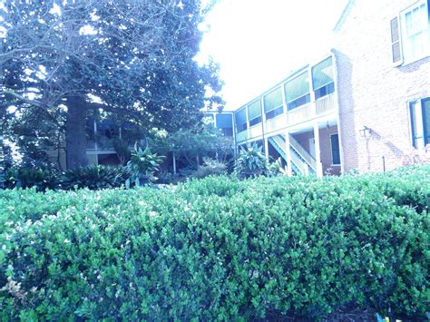 Robert Smith House Natchez Museum Of African American Culture And History