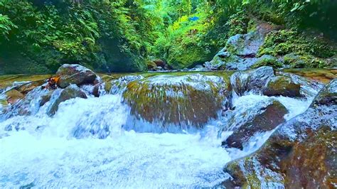 Mountain River Waterfall Flowing Water Sounds Nature White Noise