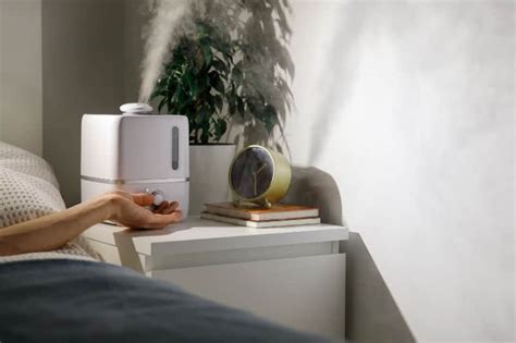 Humidifier Bedroom Placement: On the Floor or the Nightstand? - HomelyVille