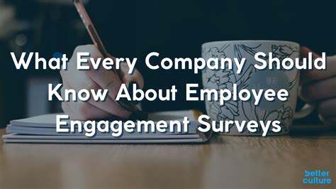 What to Know - Employee Engagement Surveys | BetterCulture