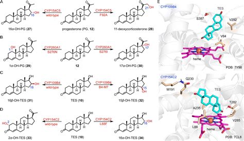 Recent Developments In The Enzymatic Modifications Of Steroid Scaffolds