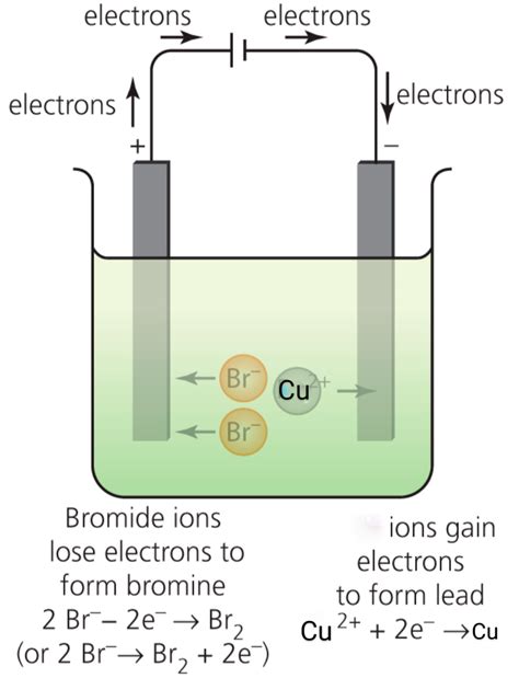 Solved Electrolysis Of Molten Salt Exercises Draw The