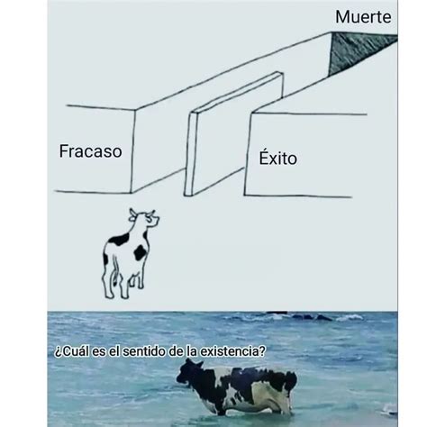 Fracaso Muerte Éxito Cuál es el sentido de la existencia Memes