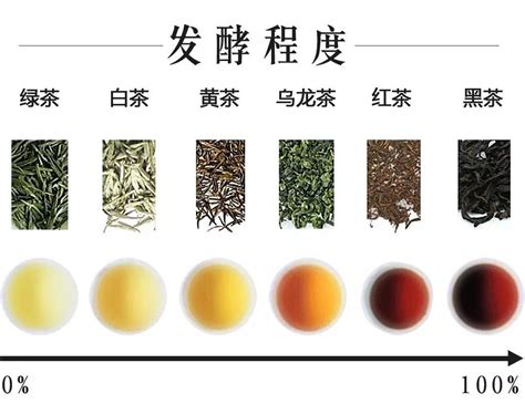 科普贴：六大茶类的发酵程度详解茶叶