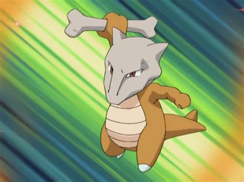 Jeffreys Marowak Pokémon Wiki Fandom Powered By Wikia