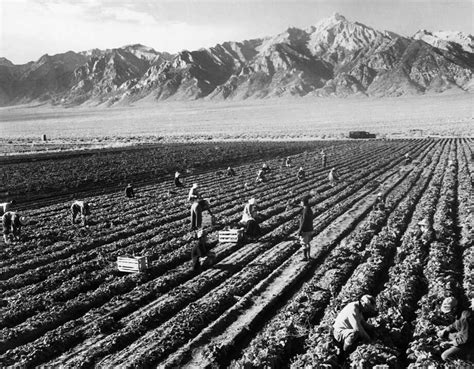 What Life Inside Japanese Internment Camps Was Like Houston Chronicle