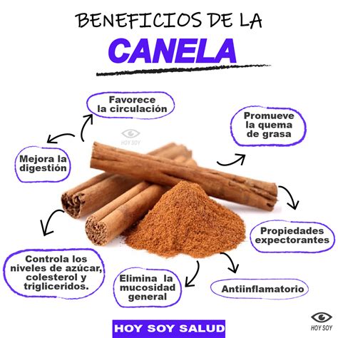 Beneficios De La Canela Beneficios Y CONTRAINDICACIONES