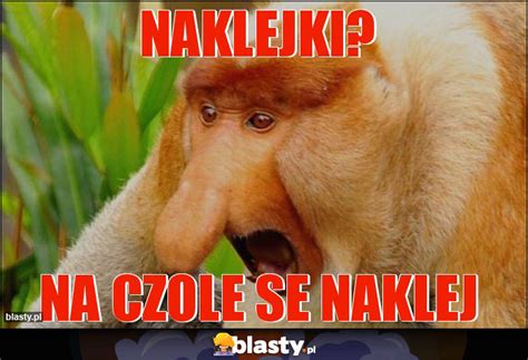 Naklejki Memy Gify I Mieszne Obrazki Facebook Tapety Demotywatory