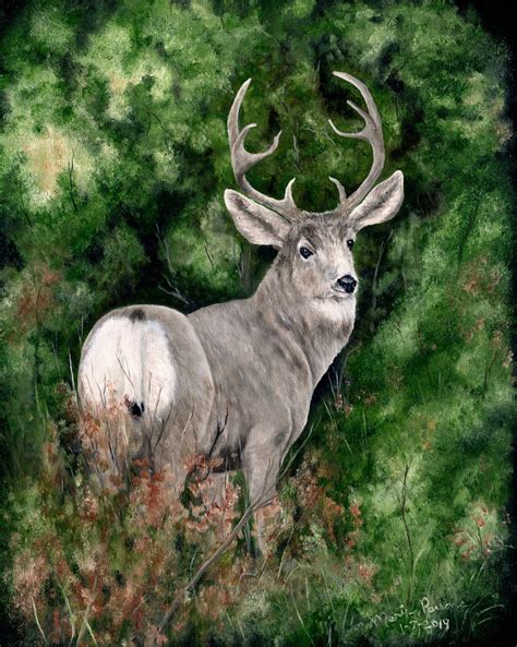 Mule Deer Art Print Wildlife Art Print Matted And Signed Art Etsy